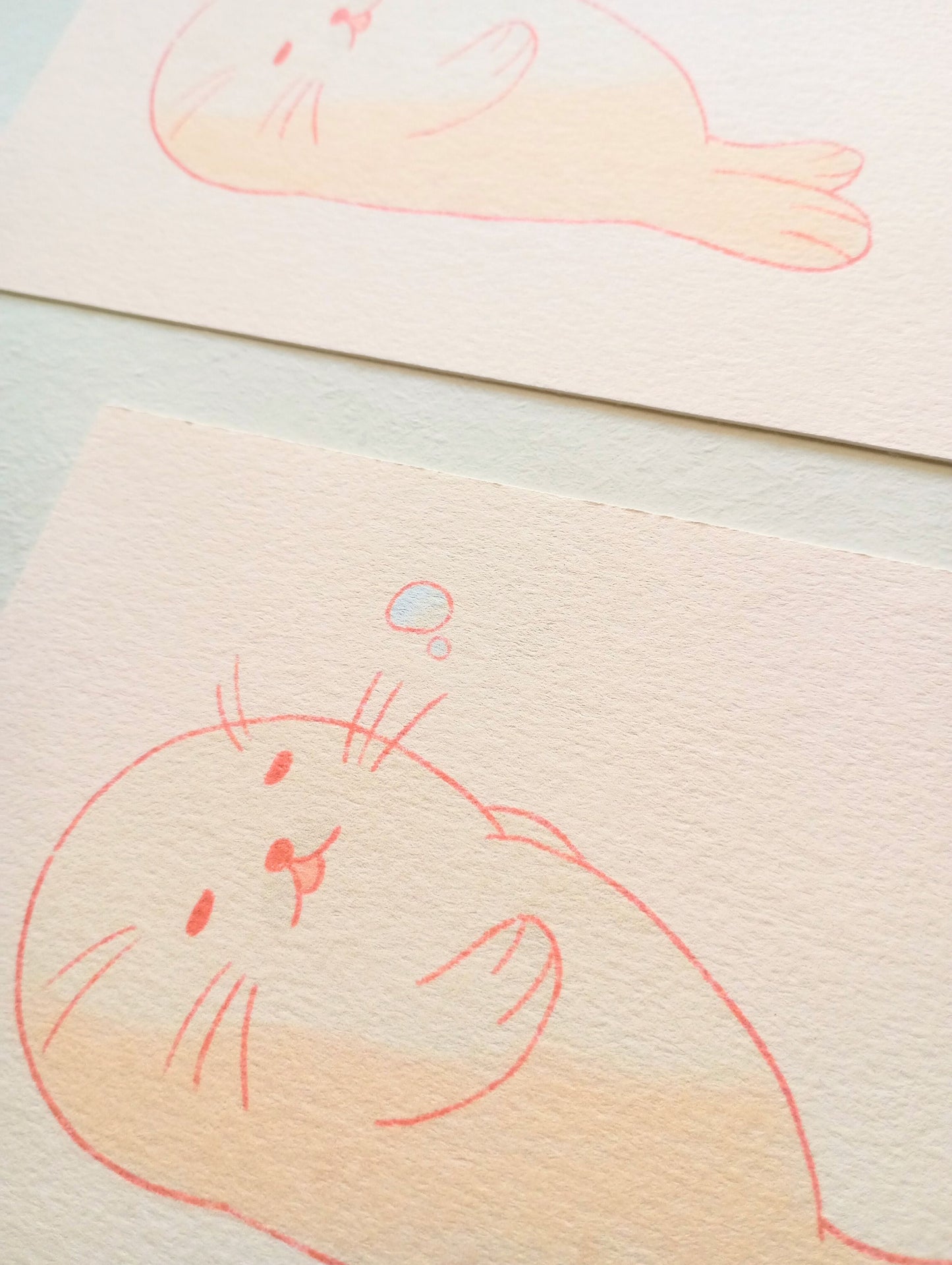 Mini print - Petit phoque sieste